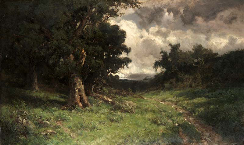After the Storm